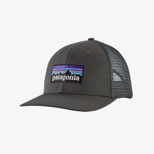 Patagonia P-6 Logo Trucker Hat